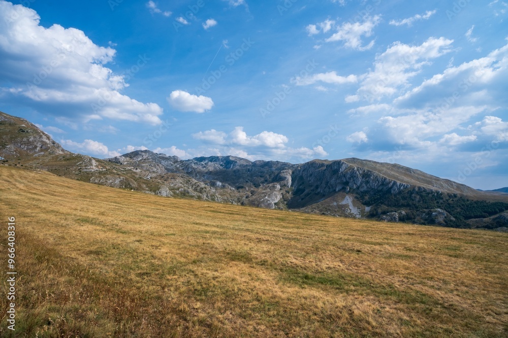 Vast grassy field with rocky mountain backdrop. Durmitor National Park Vast grassy field with rocky mountain backdrop. Durmitor National Park