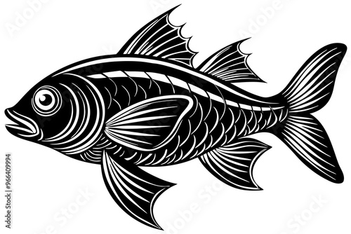 fish on white background