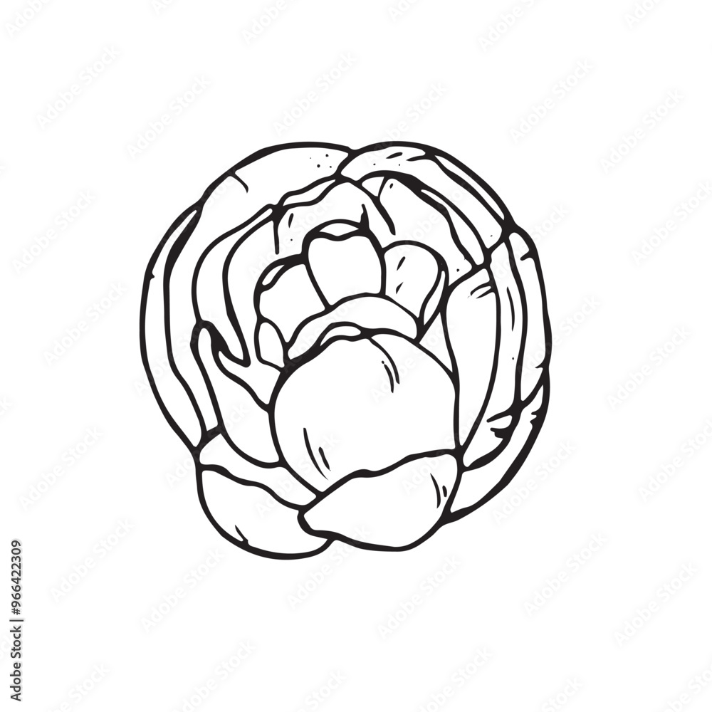 Graphic flowers. Hand draws graphic illustrations on a white background. Graphic flowers for design Graphic flowers. Hand draws graphic illustrations on a white background. Graphic flowers for design