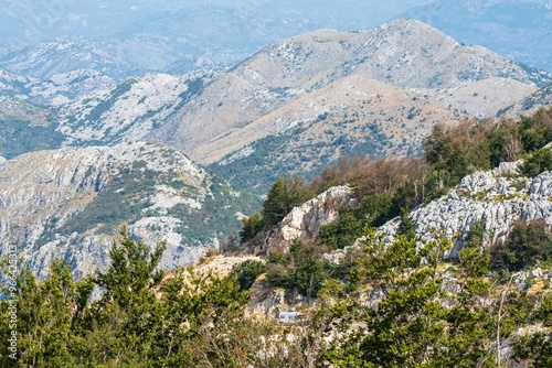 Rocky mountain range with dense greenery