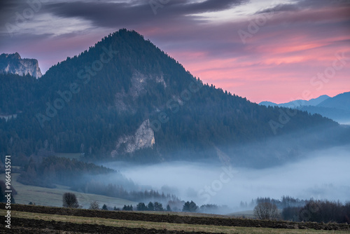 Foggy mountainside