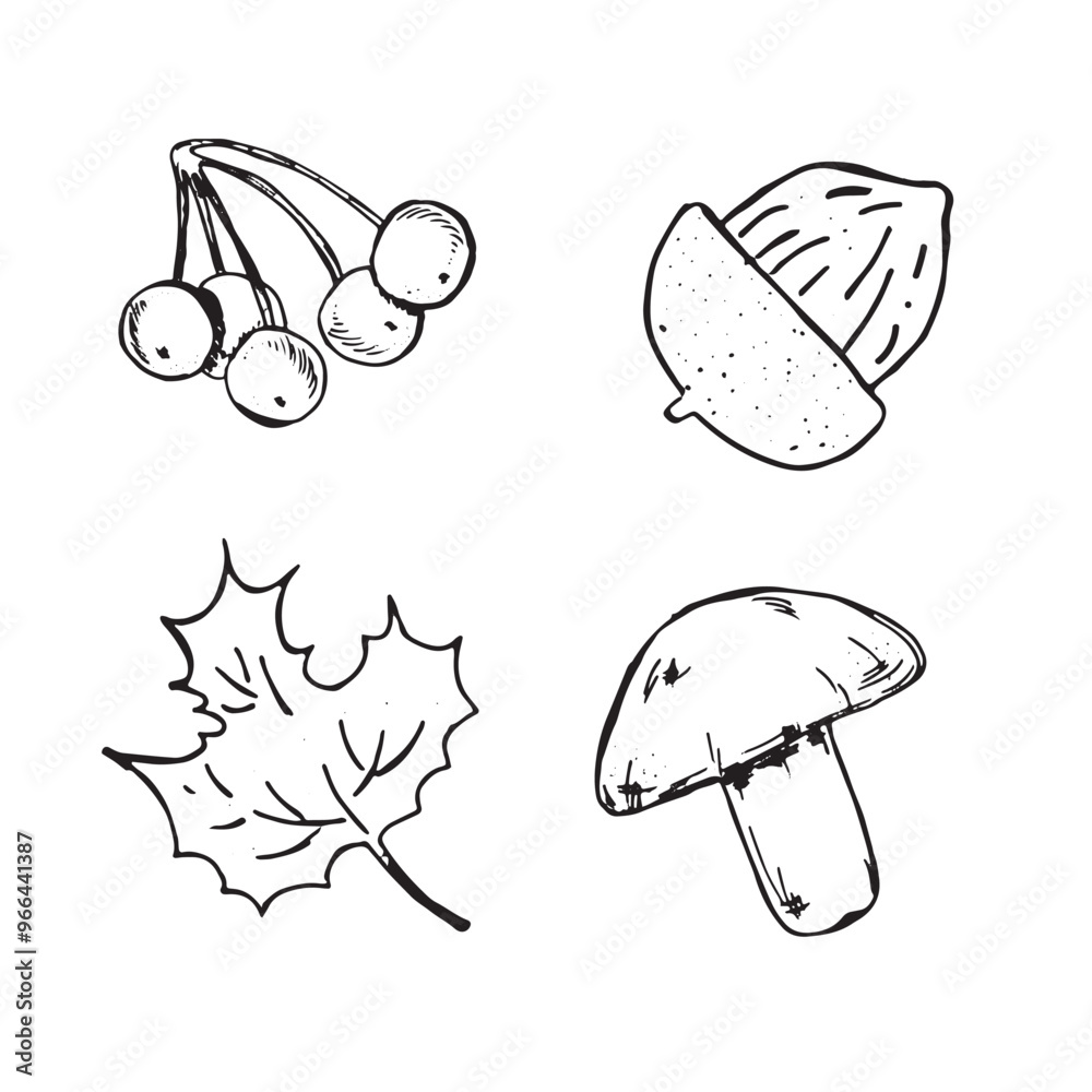 Graphic forest theme. Hand draws graphic illustrations on a white background. Graphic forest theme for design Graphic forest theme. Hand draws graphic illustrations on a white background. Graphic forest theme for design