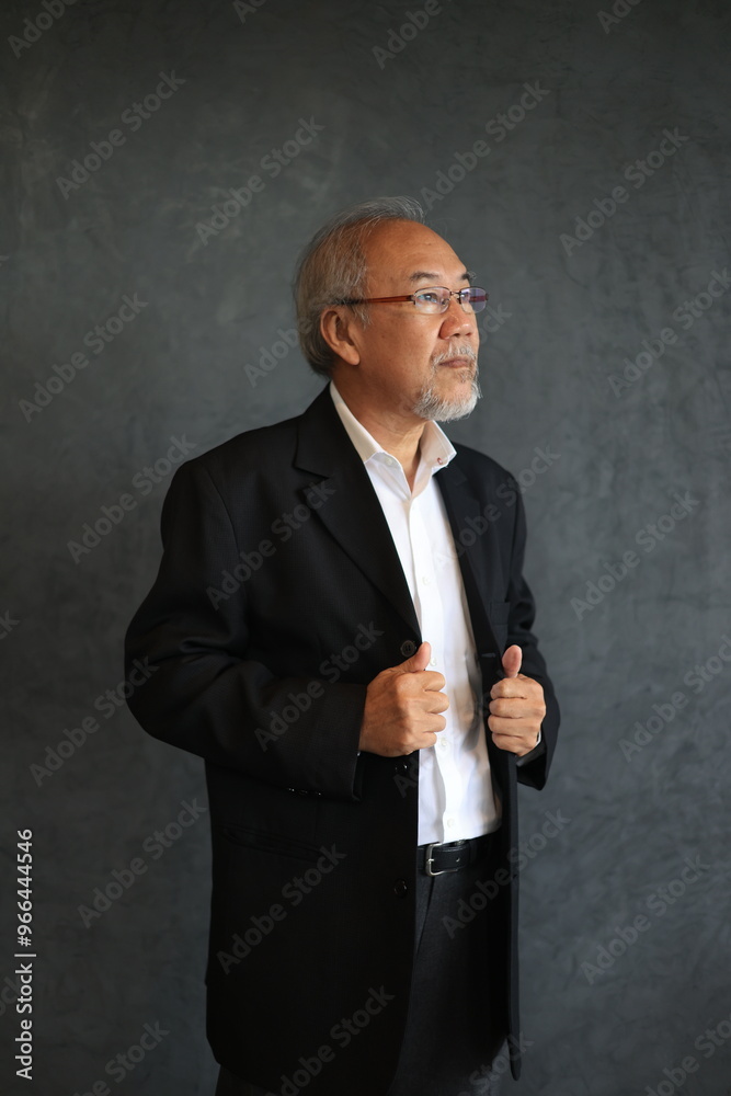 Efficient smart senior businessman Portrait of Smiling Senior Manager Businessman using digital tablet and laptop Efficient smart senior businessman Portrait of Smiling Senior Manager Businessman using digital tablet and laptop