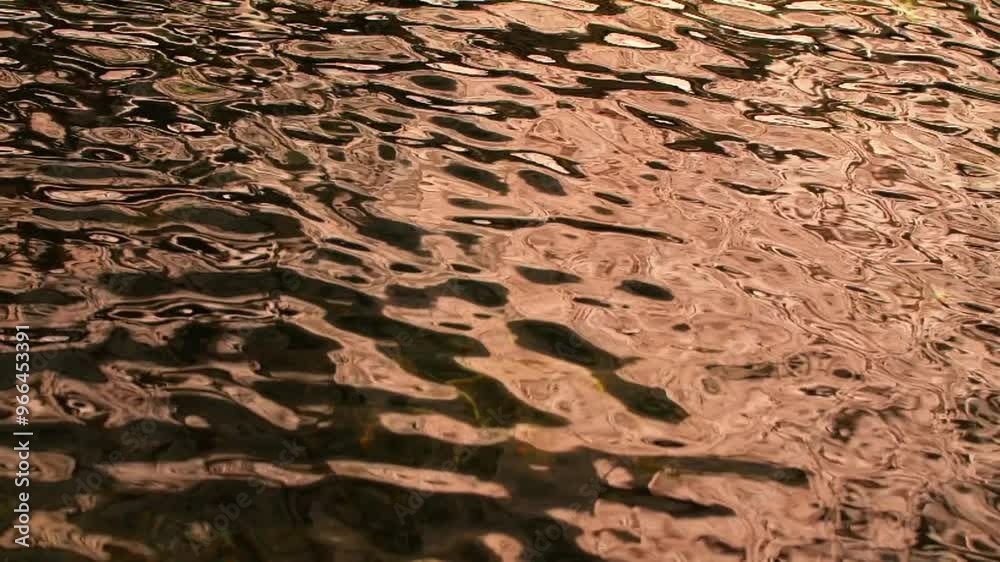 The atmosphere is stunning, the sun shines through, the sparkling water surface is actually shot The atmosphere is stunning, the sun shines through, the sparkling water surface is actually shot