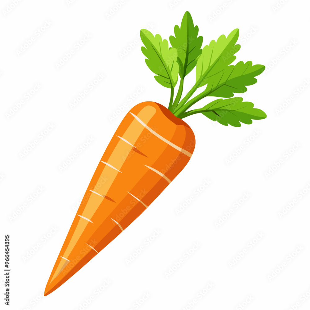 carrot isolated on white carrot isolated on white