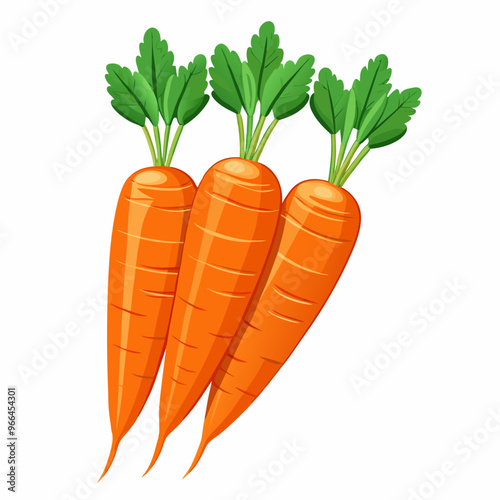 carrot isolated on white