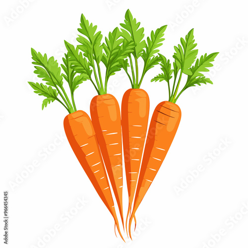 carrot isolated on white