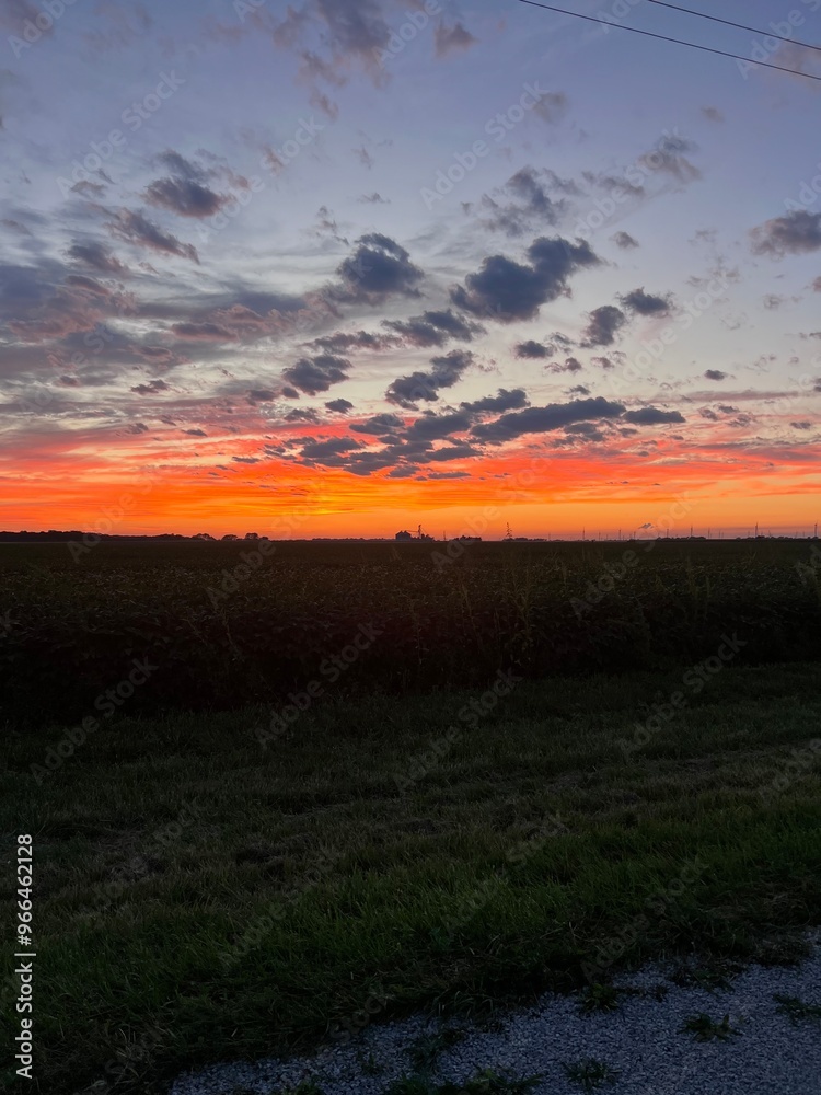 Fototapeta premium sunset over the field
