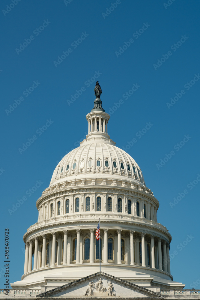 Obraz premium U.S. Capitol - Washington, DC, USA