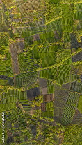 vertical de fazenda photo