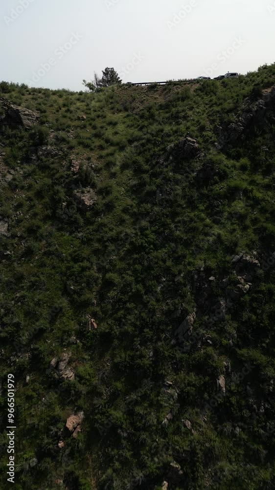 grass in the mountains grass in the mountains