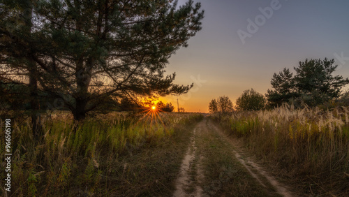 Country road through a field with tall grass and trees in the warm light of an evening sunset with a low sun, orange dawn and sunbeams. Summer-autumn landscape in 16:9 format