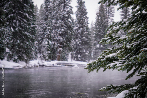 river in the winter forest