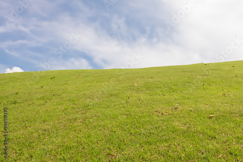 A wide shot of a green grassy field with a blue sky and white clouds in the background.