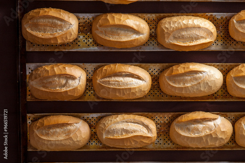 A TRAY OF FRESHLY BAKED FRENCH BREAD. TOP VIEW