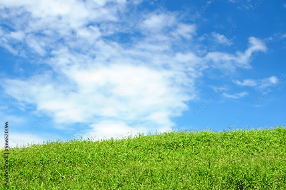 Lush green grass with a bright blue sky with puffy white clouds. Lush green grass with a bright blue sky with puffy white clouds.