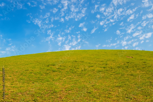 A grassy field with a bright blue sky and white clouds.