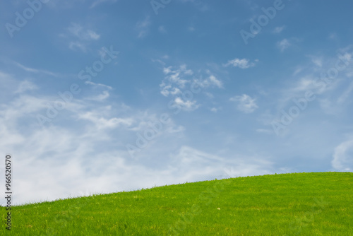 Lush green grassy hill against a clear blue sky with white wispy clouds.