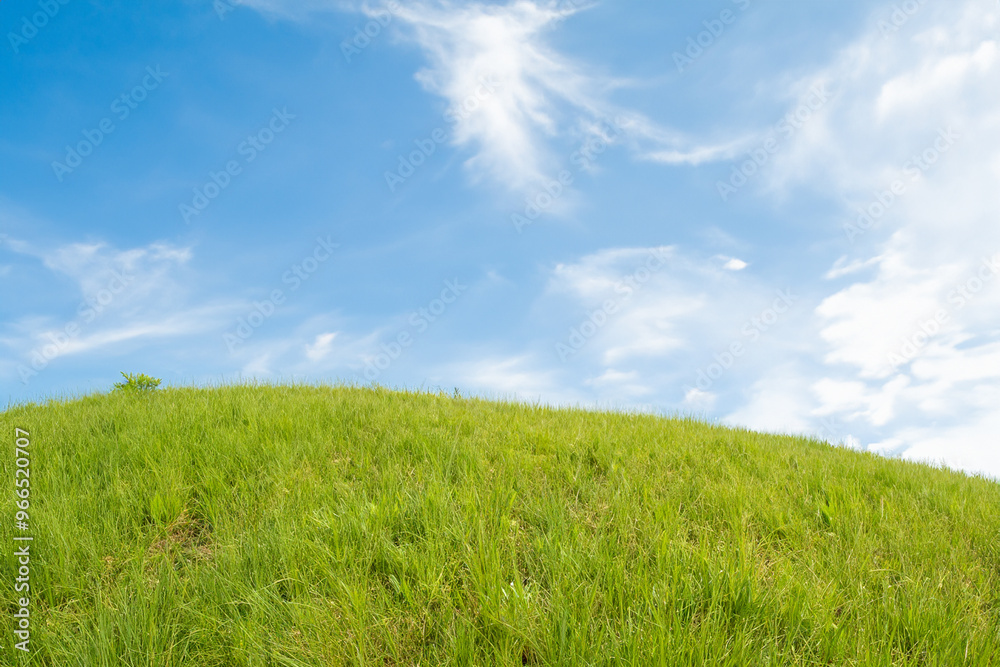 Green grass hill against a blue sky with white clouds. Green grass hill against a blue sky with white clouds.