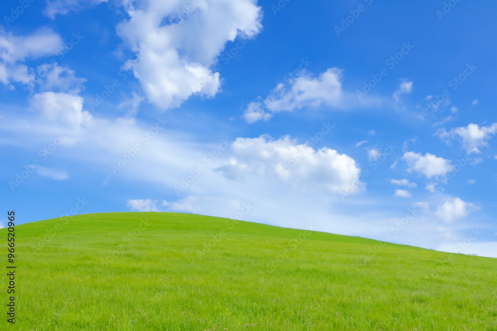 Lush green meadow under a blue sky with white puffy clouds. Lush green meadow under a blue sky with white puffy clouds.