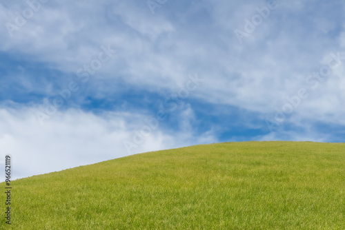 A grassy knoll beneath a cloudy blue sky.