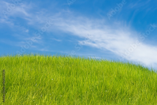 Lush green grass field against a bright blue sky with white clouds.