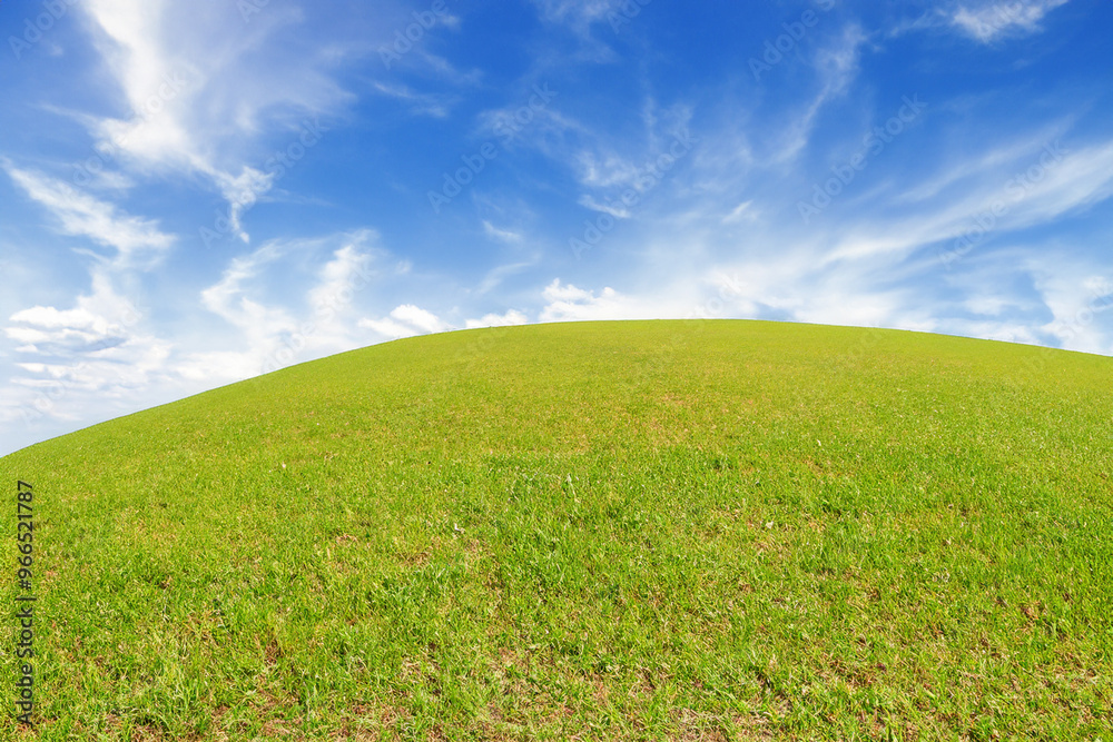 A vast green field, stretching out under a bright blue sky dotted with white fluffy clouds. A vast green field, stretching out under a bright blue sky dotted with white fluffy clouds.