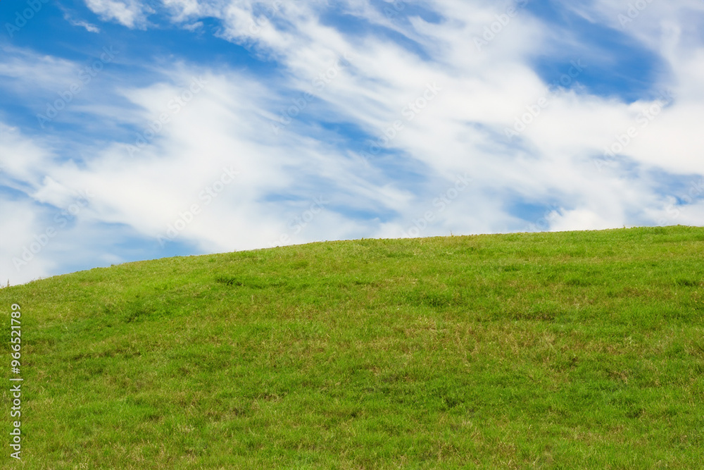 A vast expanse of green grass stretches towards a blue sky dotted with wispy clouds. A vast expanse of green grass stretches towards a blue sky dotted with wispy clouds.