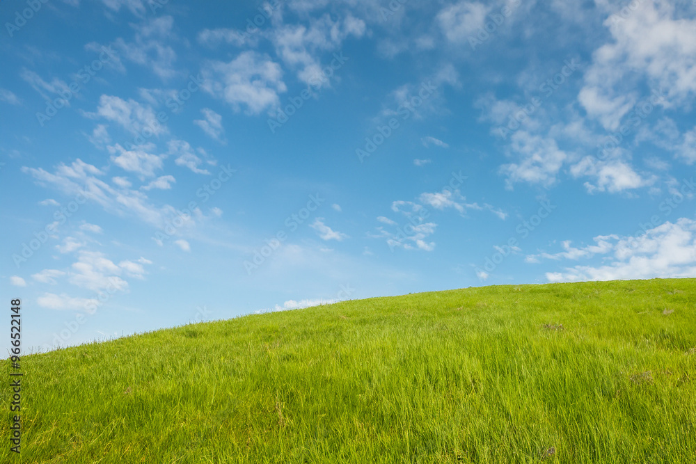 Lush green grass field on a bright, sunny day with a clear blue sky dotted with fluffy white clouds. Lush green grass field on a bright, sunny day with a clear blue sky dotted with fluffy white clouds.
