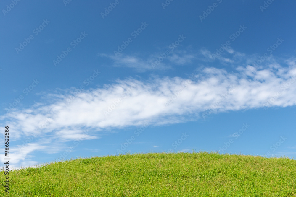 Green grassy hill with a blue sky and white clouds above. Green grassy hill with a blue sky and white clouds above.