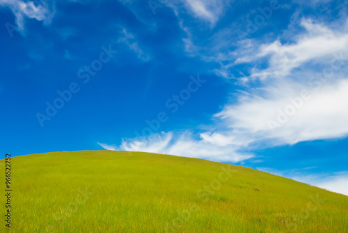 Lush green hill under a bright blue sky with white clouds.