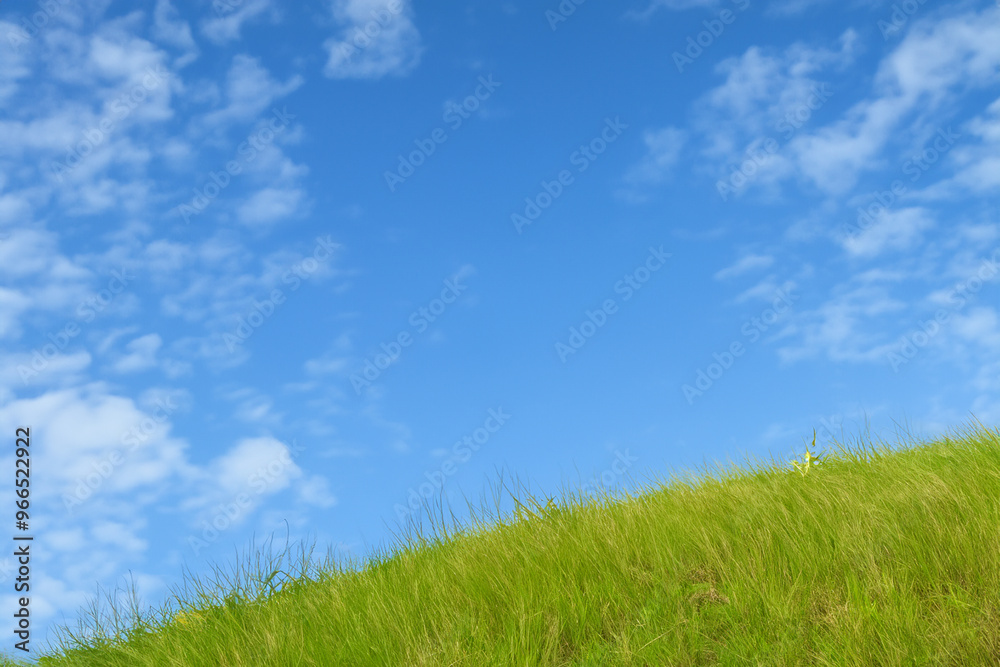 Green grass field against a bright blue sky with white fluffy clouds. Green grass field against a bright blue sky with white fluffy clouds.