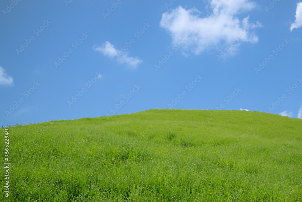 A vibrant green grassy hillside stretches towards a clear blue sky with white fluffy clouds. A vibrant green grassy hillside stretches towards a clear blue sky with white fluffy clouds.