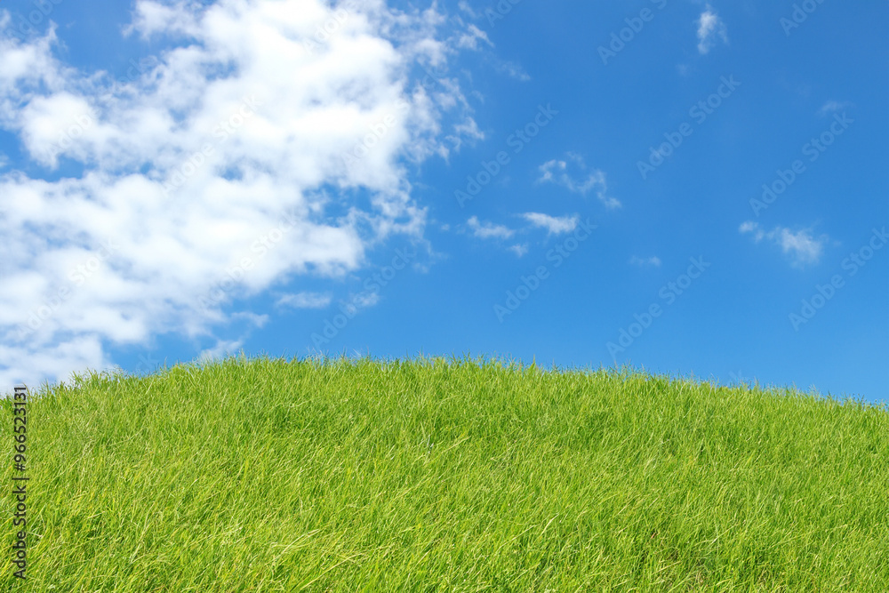 Lush green grass field against a bright blue sky with white fluffy clouds. Lush green grass field against a bright blue sky with white fluffy clouds.