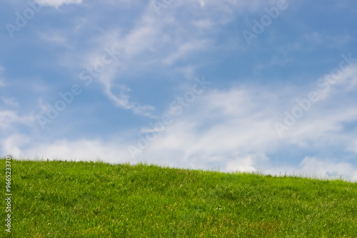 Lush green grass field with a clear blue sky and white clouds.