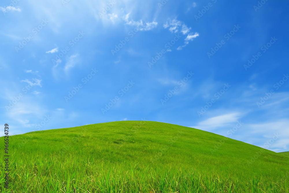 Lush green grassy hill under a bright blue sky with white clouds. Lush green grassy hill under a bright blue sky with white clouds.