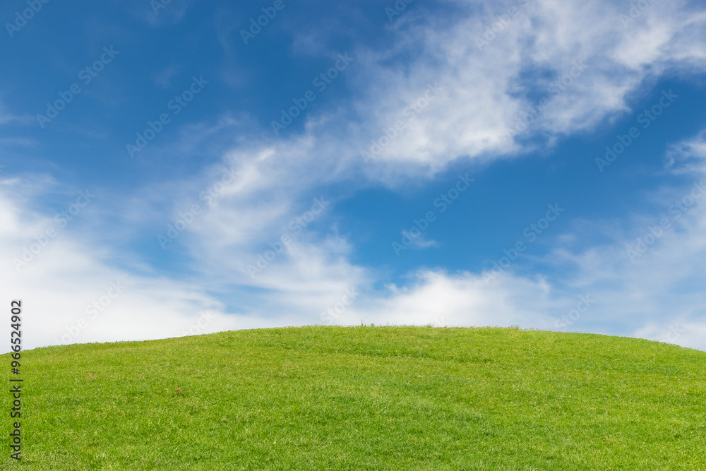 Green grass field with a clear blue sky and white clouds in the background. Green grass field with a clear blue sky and white clouds in the background.