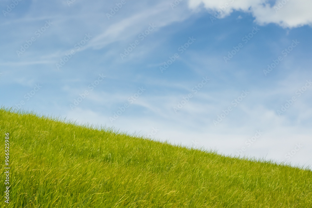 A grassy hill with a blue sky and white clouds in the background. A grassy hill with a blue sky and white clouds in the background.