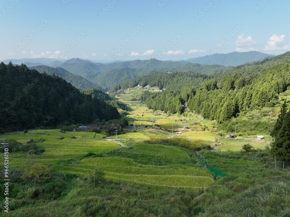 四谷千枚田、夏の早朝の風景を空撮 四谷千枚田、夏の早朝の風景を空撮
