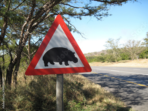 Warning traffic sign for hippos on road