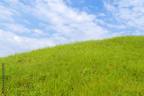 Lush green grass field with a bright blue sky with white clouds overhead.