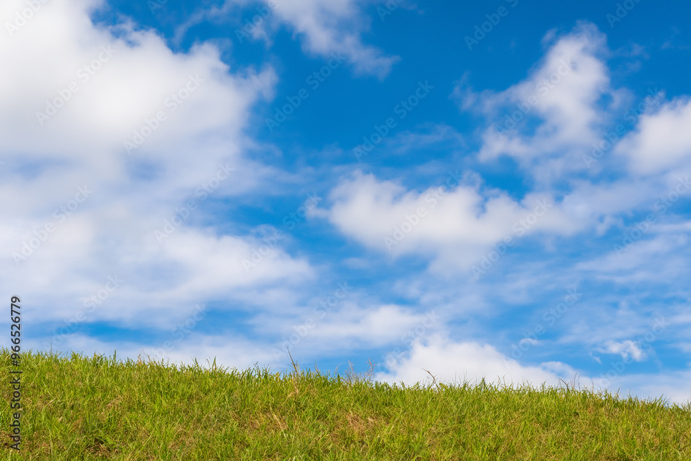 Green grass field against a clear blue sky with puffy white clouds. Green grass field against a clear blue sky with puffy white clouds.
