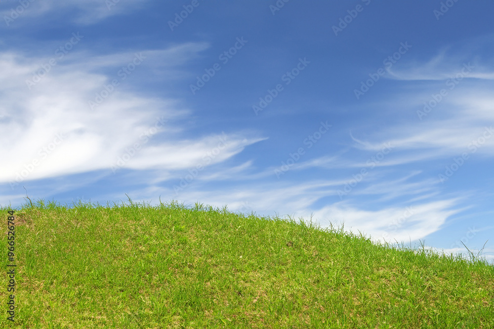 Lush green grass hill against a blue sky with white clouds. Lush green grass hill against a blue sky with white clouds.