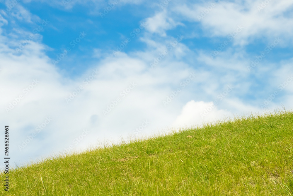 Lush green grass hill under a bright blue sky with white clouds. Lush green grass hill under a bright blue sky with white clouds.