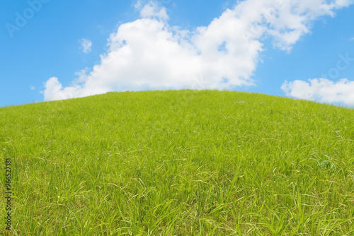 Lush green grass field under a bright blue sky with white fluffy clouds.