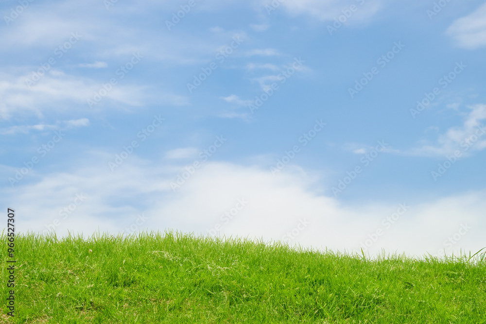 Lush green grass field with a bright blue sky and white clouds. Lush green grass field with a bright blue sky and white clouds.