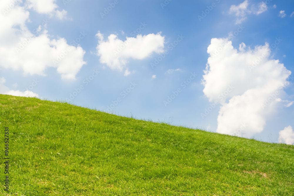 Lush green grass hill under a clear blue sky with white clouds. Lush green grass hill under a clear blue sky with white clouds.