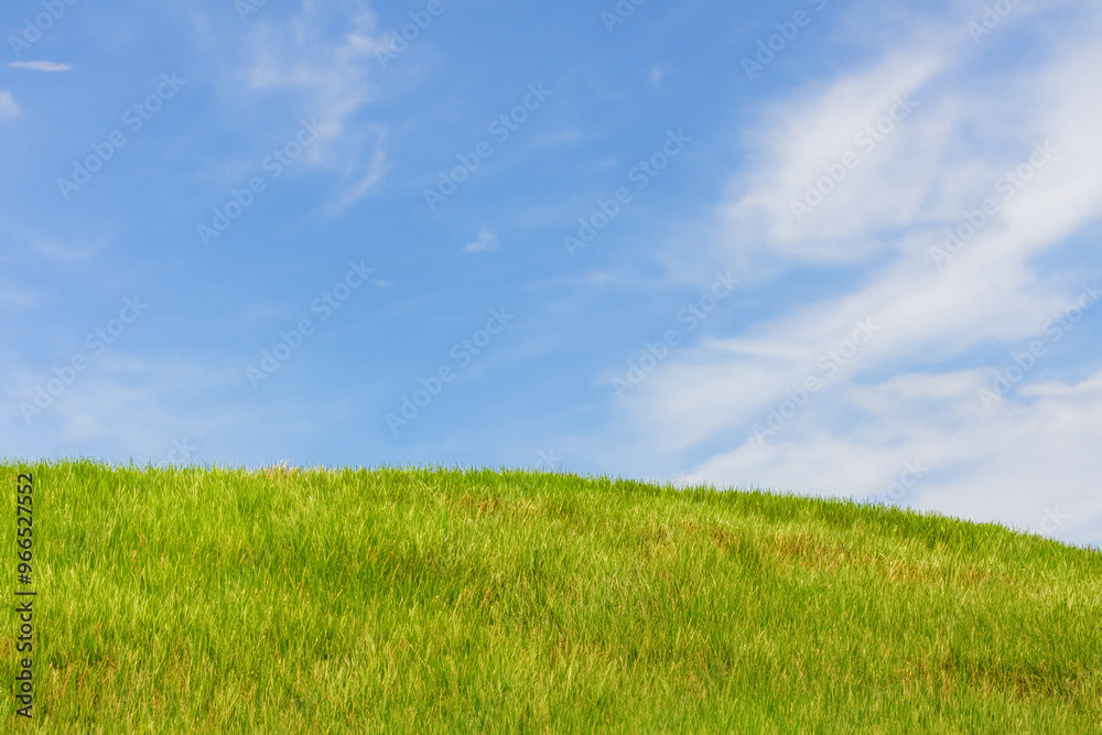 Lush green grass field against a bright blue sky with white wispy clouds. Lush green grass field against a bright blue sky with white wispy clouds.