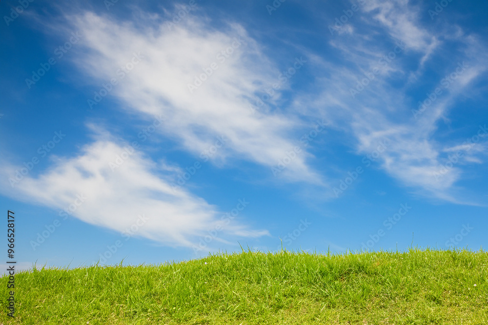 Green grassy hill against a bright blue sky with wispy white clouds. Green grassy hill against a bright blue sky with wispy white clouds.