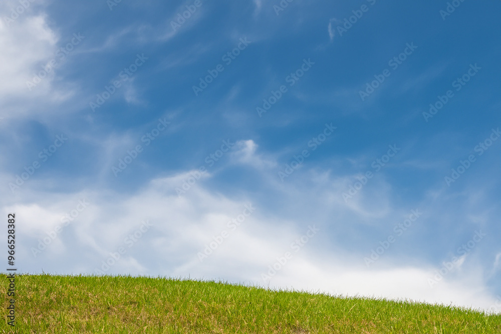 Grassy hill against a blue sky with white clouds. Grassy hill against a blue sky with white clouds.